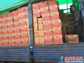 王師傅裝卸服務隊 專業裝卸與保潔服務一體化解決方案